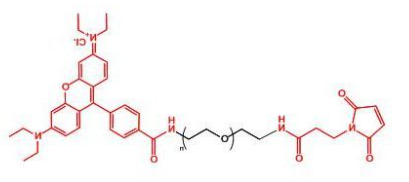Rhodamine-PEG-MAL