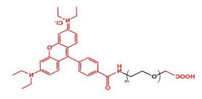 Rhodamine-PEG-COOH