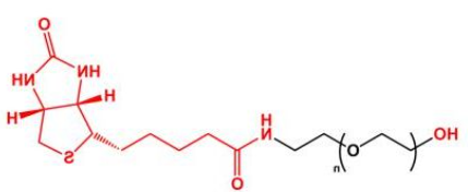 HO-PEG-Biotin