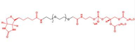 DSPE-PEG-Biotin