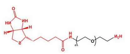 NH2-PEG-Biotin