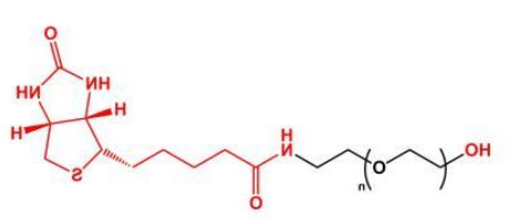 HO-PEG-Biotin