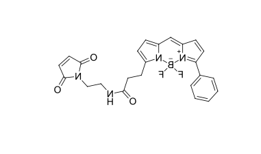 Bodipy-Hyaluronate;Bodipy-HA;氟化硼二吡咯标记透明质酸钠