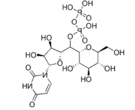 UDP-葡萄糖，cas:133-89-1, UDP glucuronic acid, UDP-glucose, 一种核苷酸糖