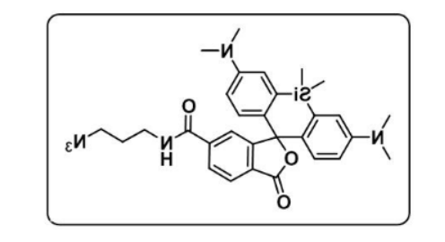 SiR-azide，硅基罗丹明-叠氮，SiR-N3 叠氮偶联硅基罗丹明近红外染料激发波长652nm的基本信息详情介绍