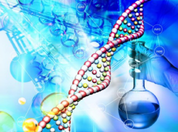17种氨基酸偶联药物、荧光分子、磷脂、其他小分子化合物、聚合物、多糖、多肽和蛋白