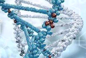 DSPE-PEG-Anti-CD44（二硬脂酰基磷脂酰乙醇胺-聚乙二醇-靶向蛋白，磷脂-聚乙二醇-多肽）