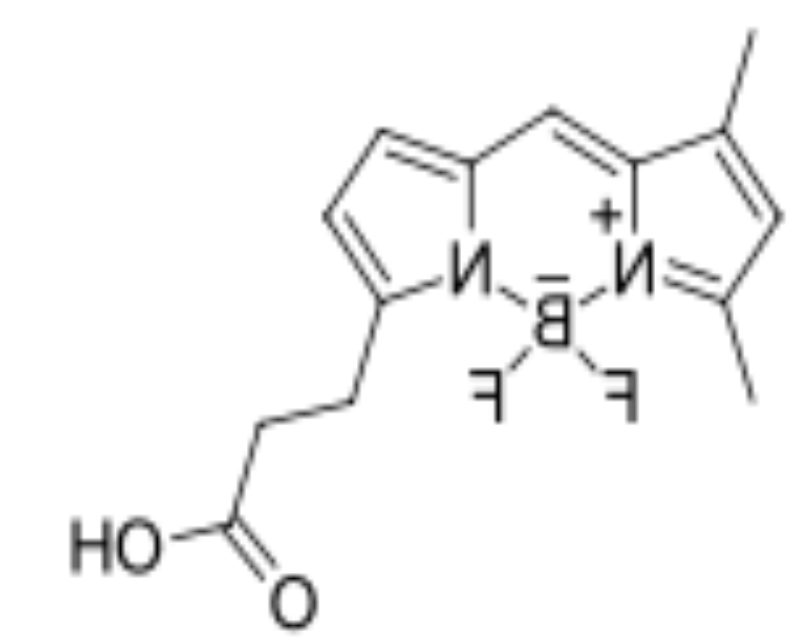 BDP FL carboxylic acid,cas165599-63-3，bodipy荧光染料试剂