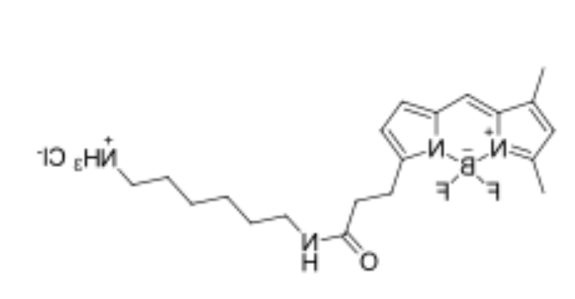 BDP FL amine,cas2183473-03-0,BODIPY类氟化硼二吡咯类荧光染料的激发波长