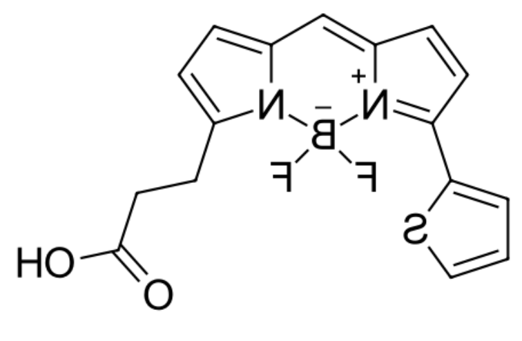 BDP 558/568 carboxylic acid|cas150173-72-1|-COOH羧基功能化修饰bodipy荧光染料