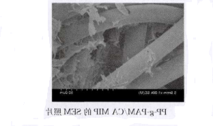 提供PP纤维接枝非印迹聚丙烯酰胺/海藻酸钙水凝胶(PP-g-PAM/CA NIP)的制备过程和SEM图片