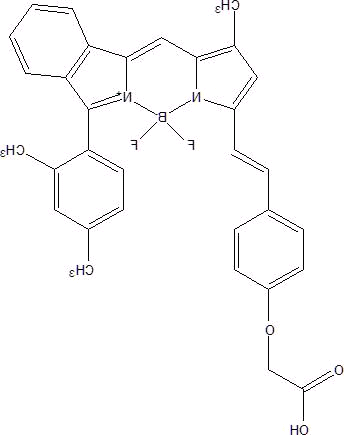 定制产品-波长在500-800nm的Bodipy系列染料介绍（含近红外染料）