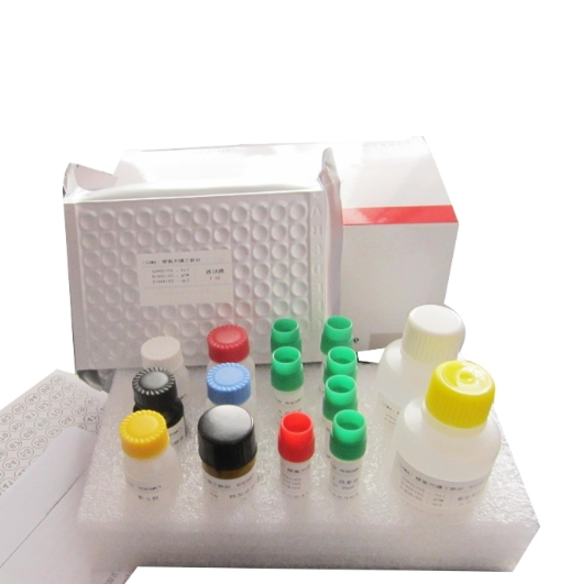 噻唑橙-壳聚糖-叶酸（TO-CTS-Folate）定制技术