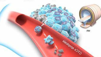 有机小分子偶联修饰黑磷纳米片定制技术