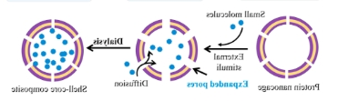 叶酸-药物靶向偶联物定制技术 Folic Acid–Drug Conjugate Targeted Delivery Customization