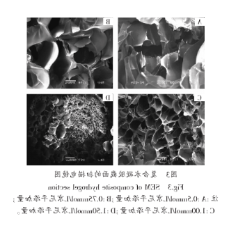 大豆蛋白/壳聚糖复合水凝胶的核磁共振氢谱谱图核磁分析和电镜分析