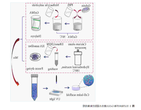 HAP纳米纤维/GelMA复合水凝胶的制备流程