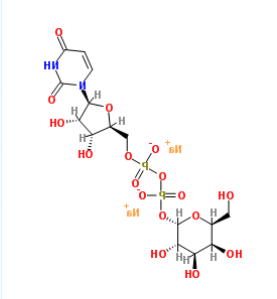 UDP糖| cas：137868-52-1, cas：2956-16-3，UDP-galactose，UDP-Ga，UDP-Α-D半乳糖二钠盐