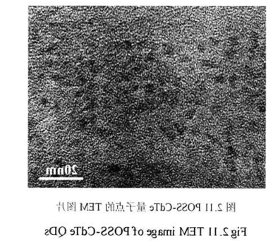 OM-POSS修饰的高生物相容性碲化镉荧光量子点(POSS-CdTe QDs)具有良好的光稳定性球赛在线直播平台
生物供应