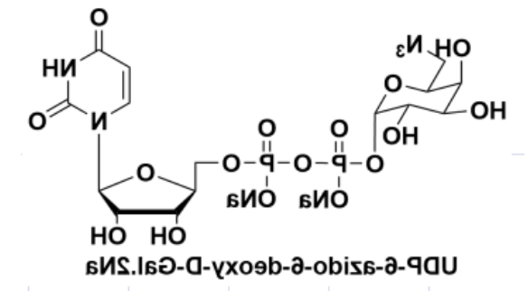 UDP糖| UDP-6-N3-Galactose, cas: 868141-12-2, UDP-6-叠氮-6-脱氧-D-半乳糖二钠盐