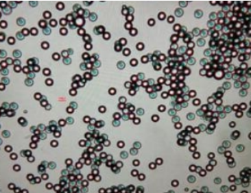 蛋白和聚合物修饰纳米金颗粒--Gold Nanoparticles连接产品