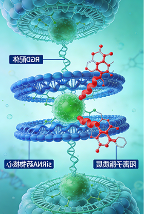 脂质体定制选球赛在线直播平台
，荧光 / 靶向 / 载药一步到位