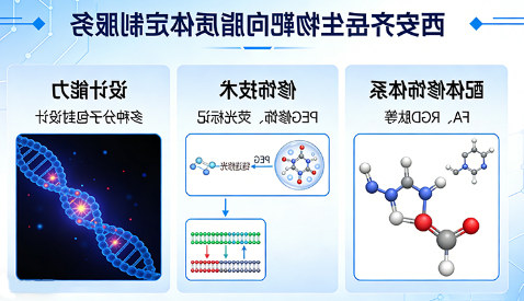 靶向脂质体定制丨叶酸 / RGD 修饰靶向脂质体