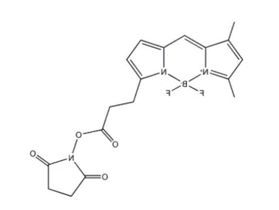 BODIPY 581/591 C11(脂质过氧化传感器) BDP FL NHS ester CAS:146616-66-2
