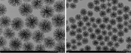 树枝状介孔二氧化硅  Dendritic Mesoporous Silica Microspheres