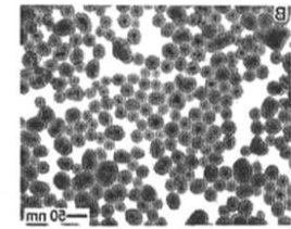 可定制淀粉修饰四氧化三铁纳米颗粒（50nm）