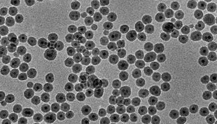 PAA @Fe3O4 nanoparticles(50nm）  聚丙烯酸修饰四氧化三铁纳米颗粒（50nm）