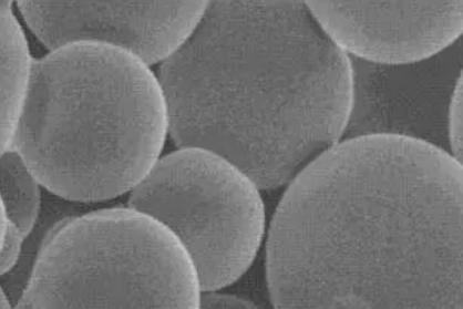 PAA @Fe3O4 nanoparticles(150nm）   聚丙烯酸修饰四氧化三铁纳米颗粒（150nm）