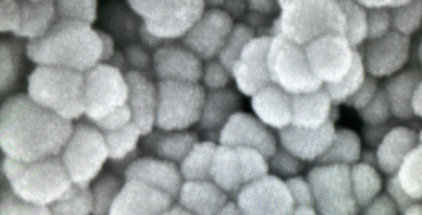 PAA @Fe3O4 nanoparticles(10nm） 聚丙烯酸修饰四氧化三铁