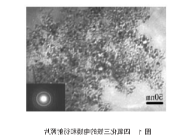 Dextran modified Fe3O4 nanoparticles(30nm)    葡聚糖修饰四氧化三铁纳米颗粒30nm