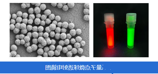 量子点微球Quantum dot microsphere QDC-1（CdSe/CdS量子点@PS荧光微球）