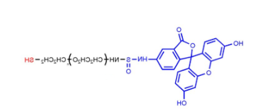 荧光素-聚乙二醇-巯基，FITC-PEG-SH，Fluoresein-PEG-Thiol，荧光素PEG巯基的结构式