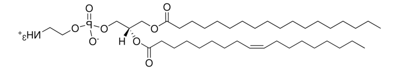 ​18:0-18:1 PE ，CAS:6418-95-7，1-硬脂酰-2-油酰-sn-甘油-3-磷酸乙醇胺的基本信息