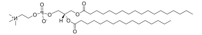 18:0-16:0 PC，CAS:59403-53-1，1-硬脂酸-2-棕榈酰磷脂酰胆碱的实验应用实例